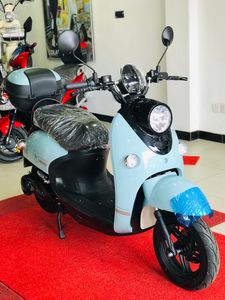 E Bike XGW 2025 for Sale