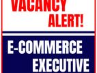 E Commerce Executive