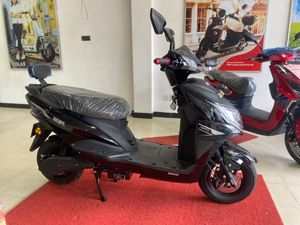 Electric Scoter 2024 for Sale