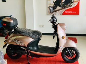 Electric Scoter 2025 for Sale