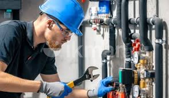 14ed9f3e-aff8-462b-89f5-c2d476b90265