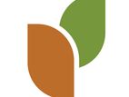 Environmental Sustainability Analyst