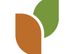 Environmental Sustainability Analyst
