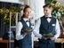 F&B Waiter (Male/ Female) – Dambulla