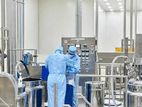 Factory Labour
