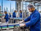 Factory Workers - Dubai