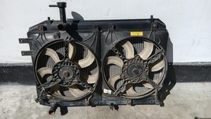 Panda Radiator with Fans for Sale