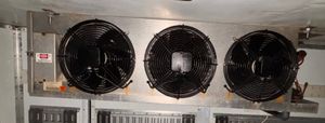 Feezer Body and Cool Room Units for Sale