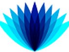 Field Sales Executive