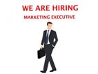 Field Sales Executive - Horana