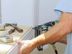 Finishing Carpenter - Qatar