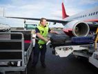 Flight Belts Workers