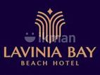 Food and Beverage Manager