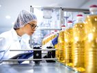 Food Company Production/Packing Officer - Colombo