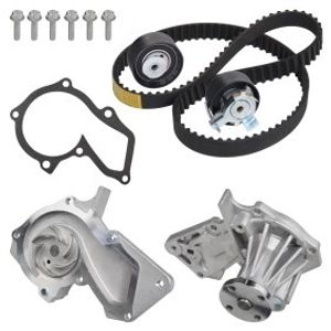 Ford Ecosport Water Pump Timing Kit for Sale