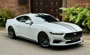 Ford Mustang 2024 for Sale