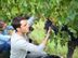 Fruit Picker - Romania