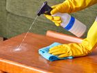 Furniture Polisher - Dubai