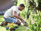 Garden Keeper - Udawalawe