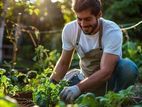 Gardener -Dubai