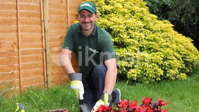 d4c98ac9-87cd-42d0-bb88-3dc2a012032a