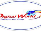 Graphic Designer