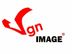 Graphic Designer