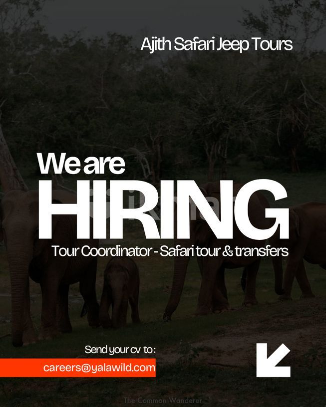 8cd4f303-fa44-467e-9f1a-eaea25e5436a