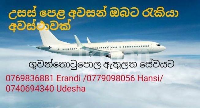 6d62f855-9ba8-466a-873a-4be86fa26601