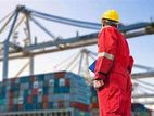 Harbour Labour Helper