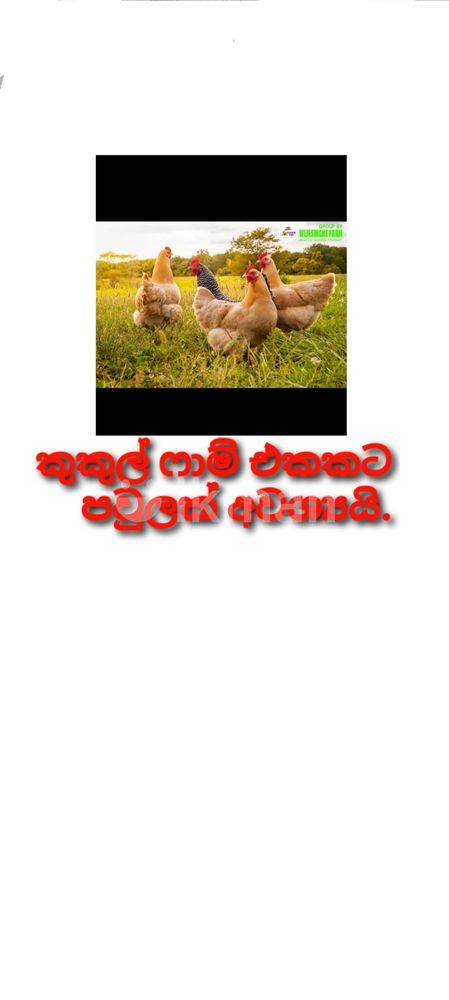 1bf25e7f-3f1b-44cc-9983-131a8485ed91