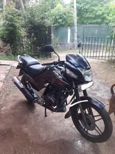 Hero CBZ 2010 for Sale