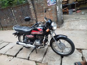Hero Dawn 2013 for Sale