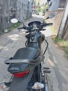 Hero Hunk 2010 for Sale