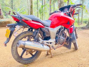 Hero Hunk 2010 for Sale