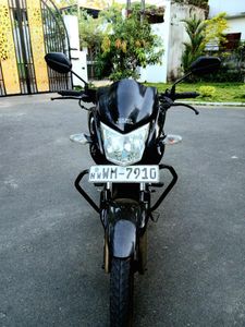 Hero Hunk 2011 for Sale