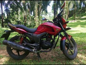 Hero Hunk 2011 for Sale