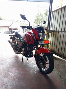 Hero Hunk 2019 for Sale
