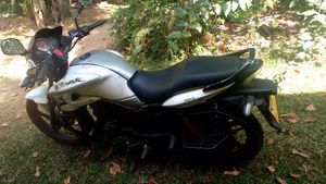 Hero Hunk Whit 2014 for Sale Hero Hunk Whit 2014 for Sale