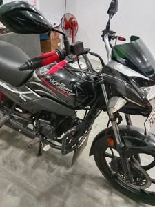 Hero Passion pro 2018 for Sale Hero Passion pro 2018 for Sale