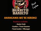 Hiring Junior Cook