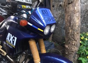 Honda AX1 200 2004 for Sale