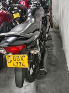 Honda CB Shine 2015 for Sale