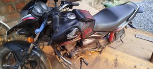 Honda CB Shine 2019 for Sale