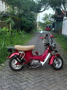 Honda Chaly 1985 for Sale