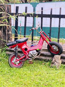 Honda Chaly 1986 for Sale