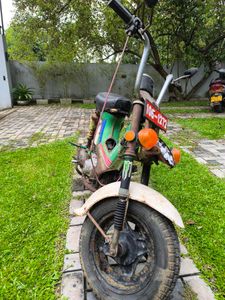 Honda Chaly CF50 1986 for Sale