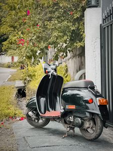 Honda Giorno 2010 for Sale