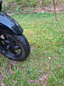 Honda Grazia 2019 for Sale Honda Grazia 2019 for Sale