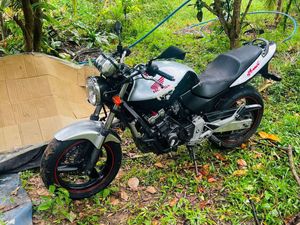 Honda Hornet 250 2017 for Sale